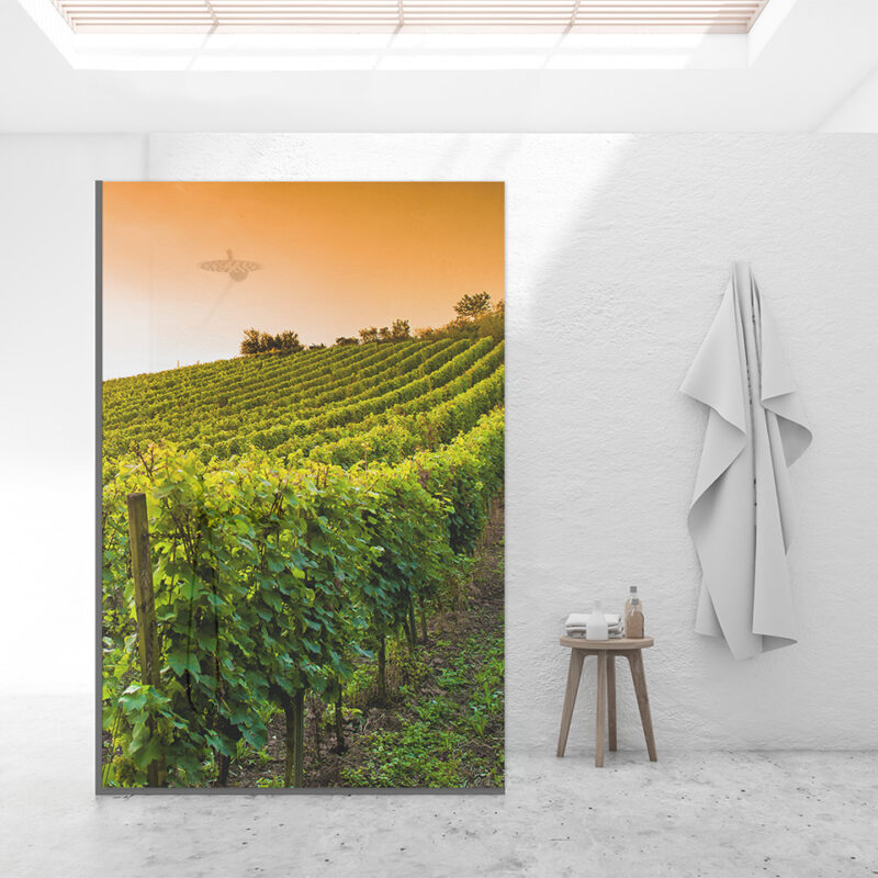 Duschtrennwand für Walk-in Duschen Weinberg