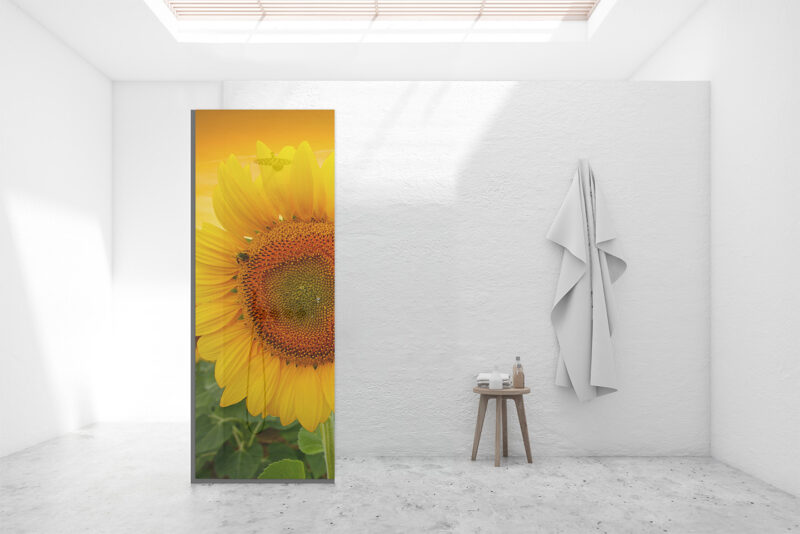 Duschtrennwand für Walk-in Duschen Sonnenblume