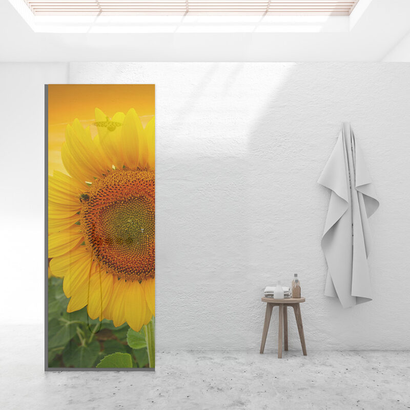 Duschtrennwand für Walk-in Duschen Sonnenblume