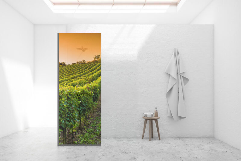 Duschtrennwand für Walk-in Duschen Weinberg