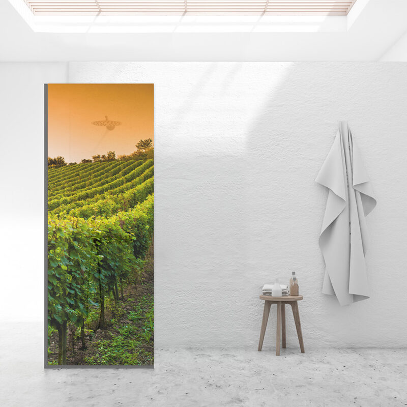 Duschtrennwand für Walk-in Duschen Weinberg