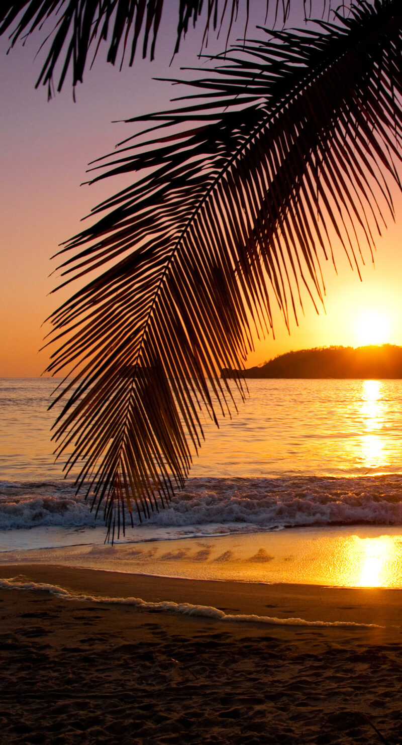 Motiv_Sonnenuntergang-am-Strand Wandverkleidung Sonnenuntergang am Strand