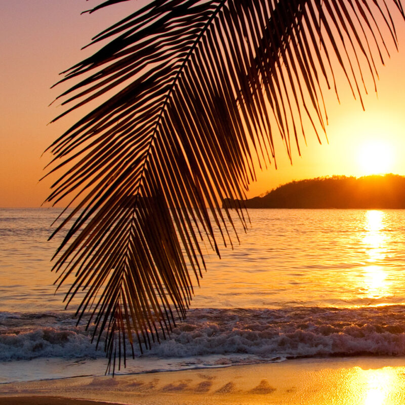 Motiv_Sonnenuntergang-am-Strand Wandverkleidung Sonnenuntergang am Strand