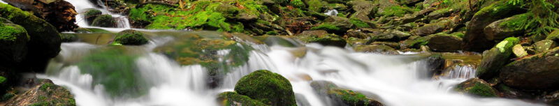Auflegeglas für Kommoden Waldbach