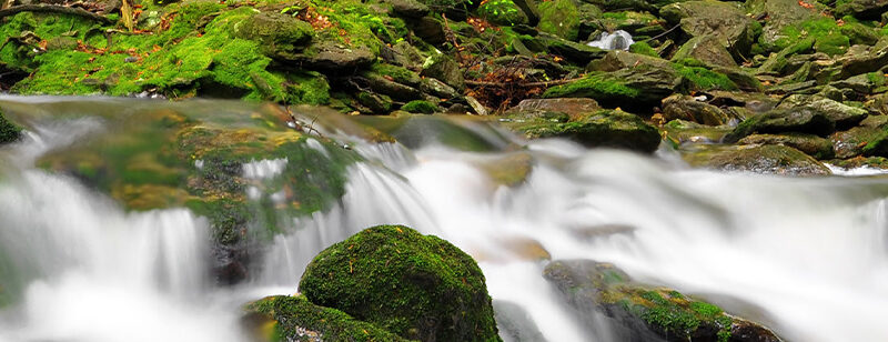 Auflegeglas für Kommoden Waldbach