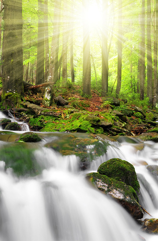 Duschtrennwand für Walk-in Duschen Waldbach