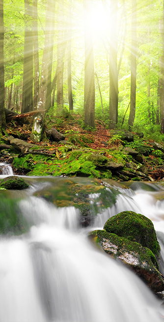 Duschtrennwand für Badewannen Waldbach