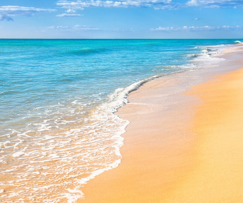 HomeOffice Sichtschutz Paravent Beach