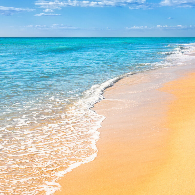 HomeOffice Sichtschutz Paravent Beach