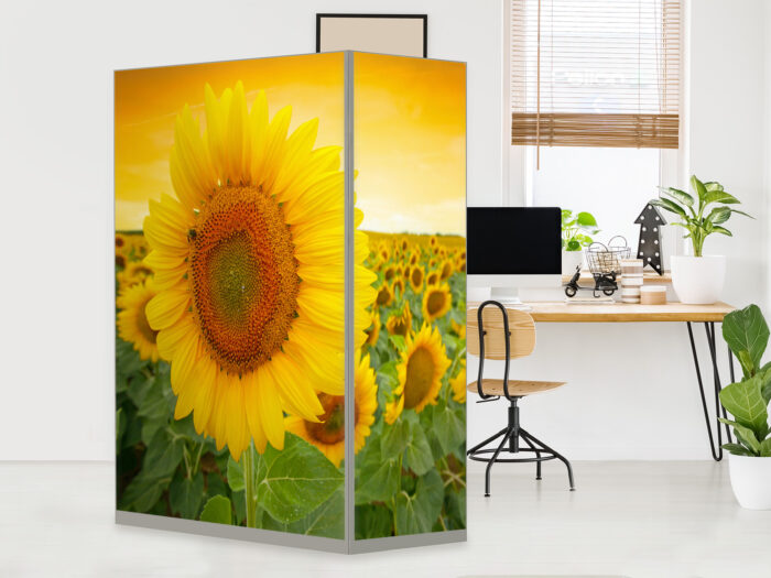HomeOffice Sichtschutz Paravent Sonnenblume