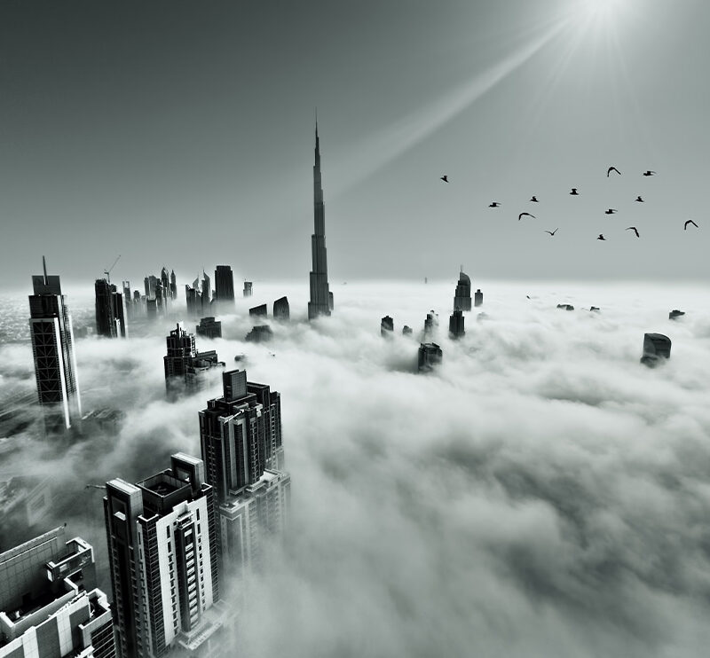 Flächenvorhang Dubai Dust
