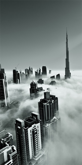 Sichtschutz Trennwand Dubai Dust