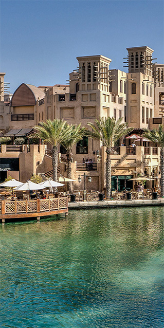 Sichtschutz Trennwand Dubai Oasis