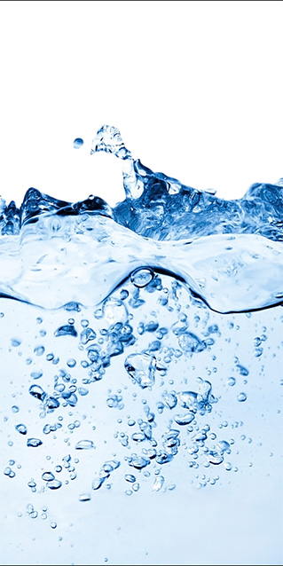 Motiv_Trennwand_100x200cm_Im-Wasser Sichtschutz Trennwand Im Wasser