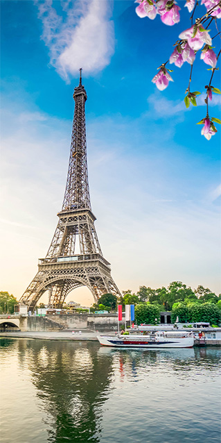 Sichtschutz Trennwand Paris