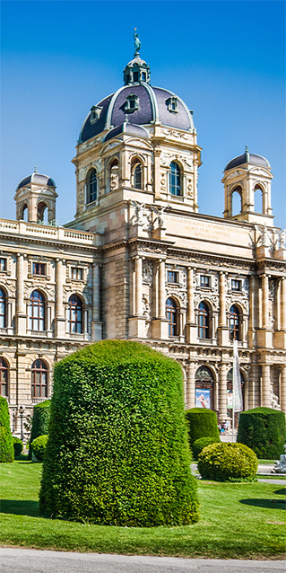 Sichtschutz Trennwand Vienna