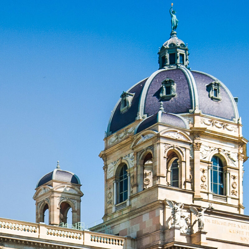 Tapete Vienna