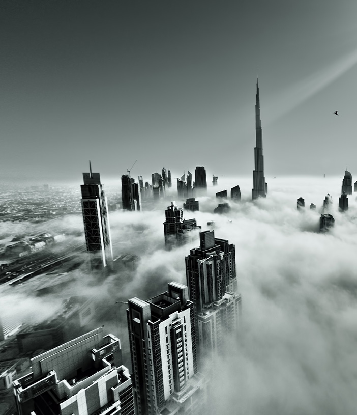 Rollo Dubai Dust