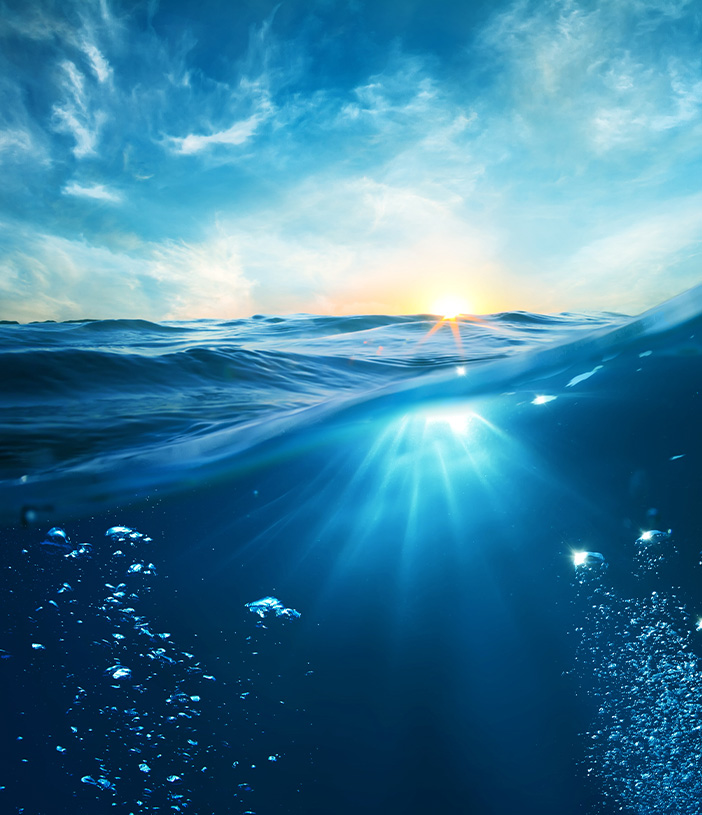 Rollo The Sea